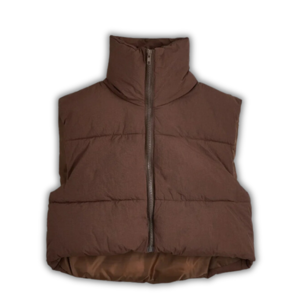 The Viral Puffer Vest